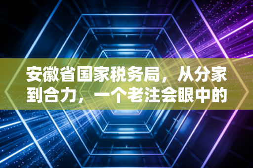 安徽省国家税务局,从分家到合力,一个老注会眼中的徽风皖韵税务变迁