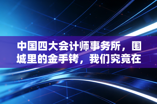 中国四大会计师事务所,围城里的金手铐,我们究竟在追逐什么?