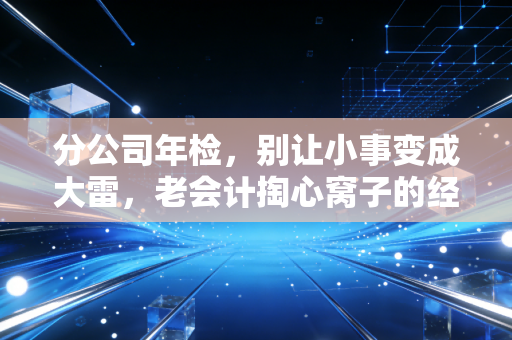 分公司年检，别让小事变成大雷，老会计掏心窝子的经验谈
