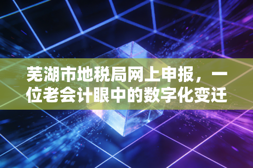 芜湖市地税局网上申报，一位老会计眼中的数字化变迁与实操心得