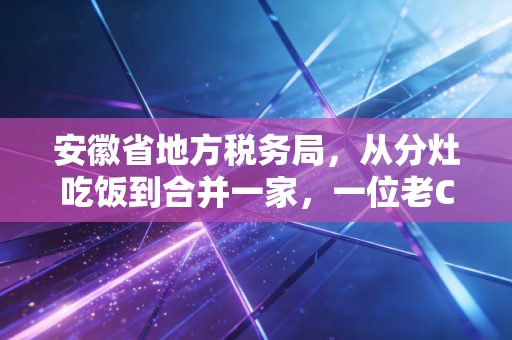 安徽省地方税务局，从分灶吃饭到合并一家，一位老CPA眼中的江淮税务变迁与合规生存指南