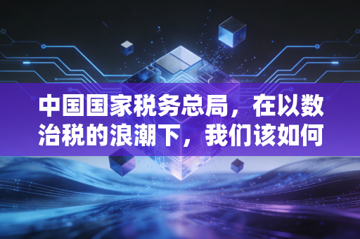 中国国家税务总局，在以数治税的浪潮下，我们该如何安放那颗忐忑的心？