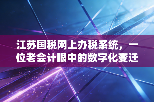 江苏国税网上办税系统,一位老会计眼中的数字化变迁与那些不得不说的坑