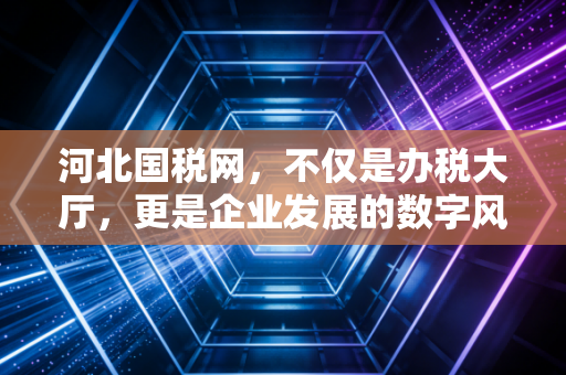 河北国税网，不仅是办税大厅，更是企业发展的数字风向标