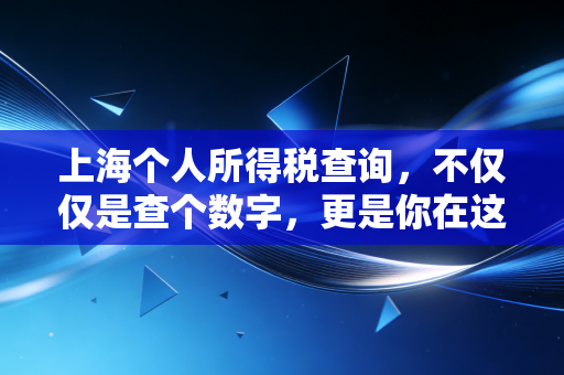 上海个人所得税查询，不仅仅是查个数字，更是你在这个城市的财富通行证