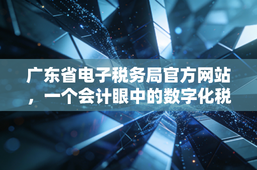 广东省电子税务局官方网站,一个会计眼中的数字化税务革命与生活百态