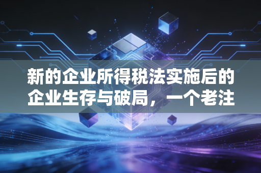 新的企业所得税法实施后的企业生存与破局，一个老注会的真心话