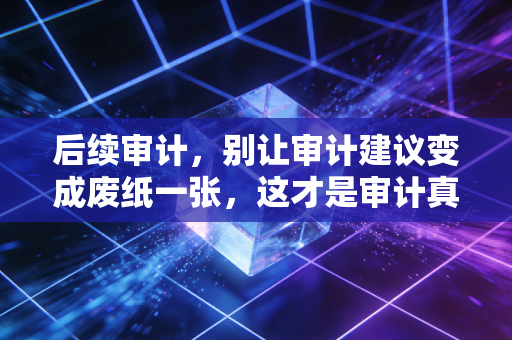 后续审计,别让审计建议变成废纸一张,这才是审计真正的闭环