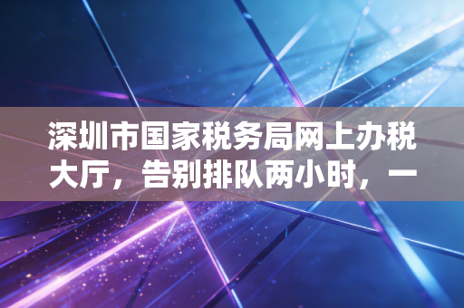 深圳市国家税务局网上办税大厅，告别排队两小时，一位资深会计眼中的数字化办税实战录