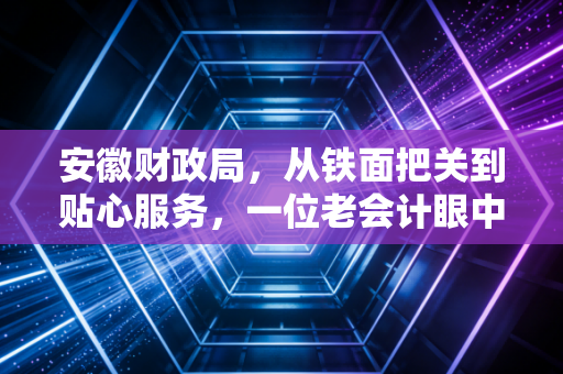 安徽财政局，从铁面把关到贴心服务，一位老会计眼中的安徽财税变迁