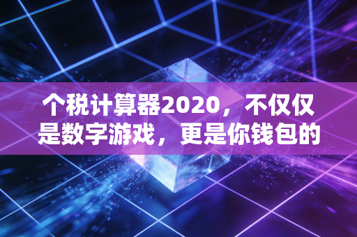 个税计算器2020,不仅仅是数字游戏,更是你钱包的隐形守护者