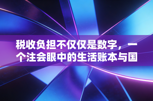 税收负担不仅仅是数字，一个注会眼中的生活账本与国家逻辑