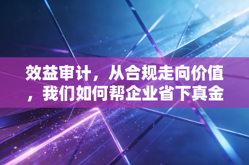 效益审计，从合规走向价值，我们如何帮企业省下真金白银？