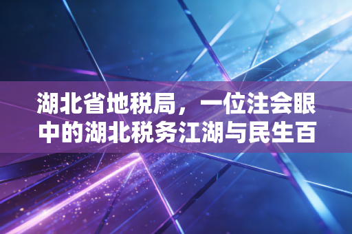 湖北省地税局，一位注会眼中的湖北税务江湖与民生百态