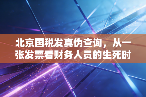 北京国税发真伪查询,从一张发票看财务人员的生死时速与合规智慧