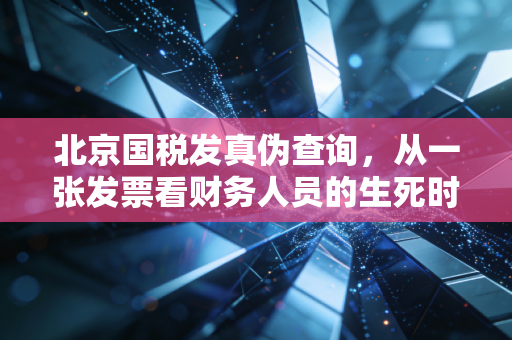 北京国税发真伪查询，从一张发票看财务人员的生死时速与合规智慧