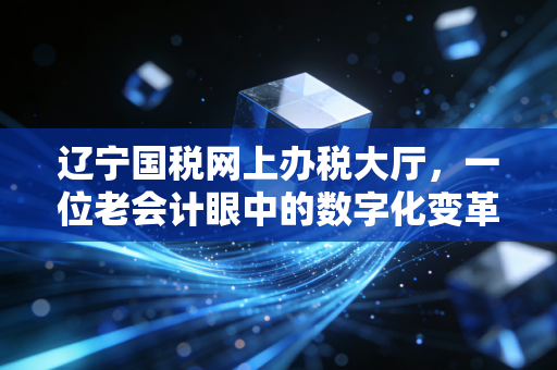 辽宁国税网上办税大厅,一位老会计眼中的数字化变革与那些不得不说的坑
