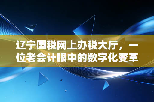 辽宁国税网上办税大厅，一位老会计眼中的数字化变革与那些不得不说的坑