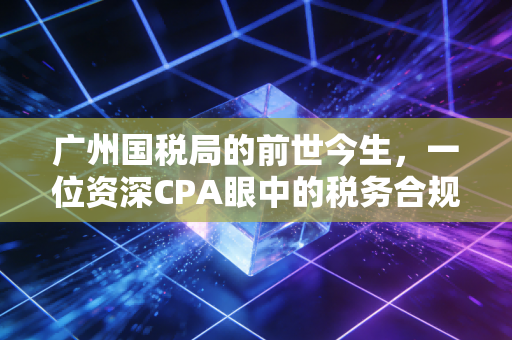广州国税局的前世今生，一位资深CPA眼中的税务合规与智慧博弈