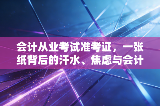 会计从业考试准考证，一张纸背后的汗水、焦虑与会计人的职业宿命