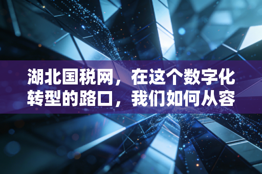湖北国税网,在这个数字化转型的路口,我们如何从容应对税务变革?