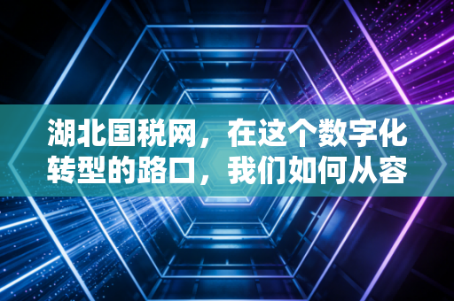 湖北国税网,在这个数字化转型的路口,我们如何从容应对税务变革?