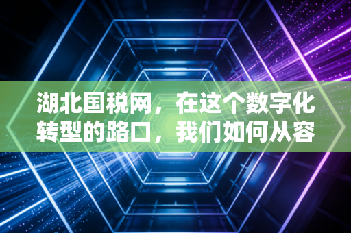 湖北国税网，在这个数字化转型的路口，我们如何从容应对税务变革？