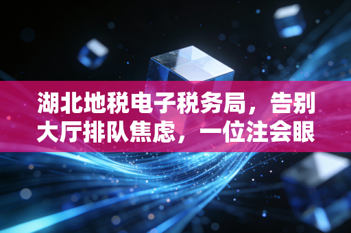 湖北地税电子税务局，告别大厅排队焦虑，一位注会眼中的数字化办税实战录