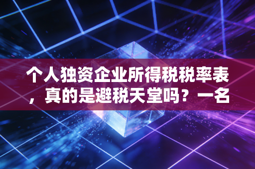 个人独资企业所得税税率表,真的是避税天堂吗?一名注会眼中的真相与风险