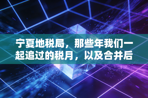 宁夏地税局,那些年我们一起追过的税月,以及合并后的新思考