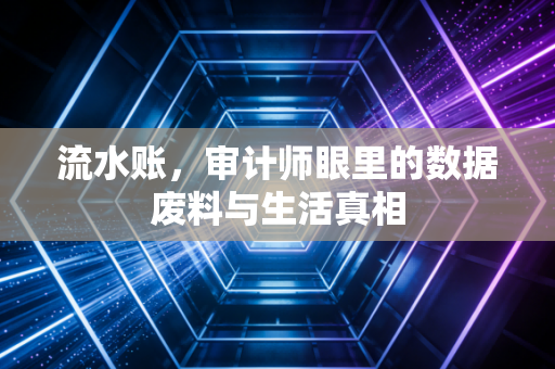 流水账，审计师眼里的数据废料与生活真相