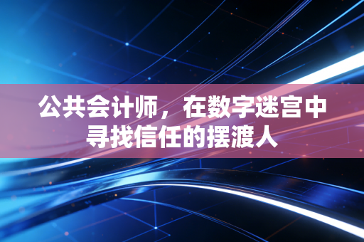 公共会计师,在数字迷宫中寻找信任的摆渡人