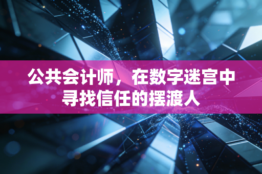 公共会计师，在数字迷宫中寻找信任的摆渡人