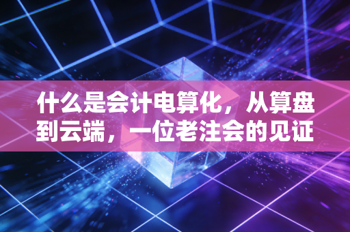 什么是会计电算化,从算盘到云端,一位老注会的见证与思考