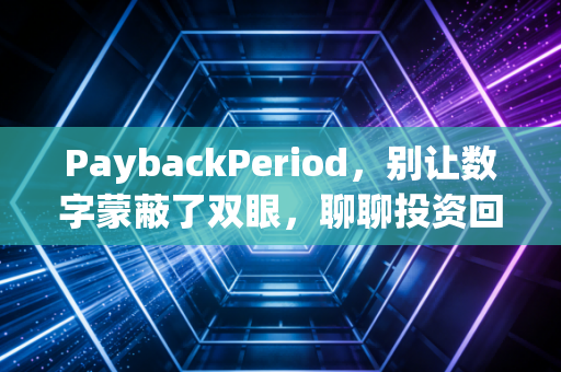PaybackPeriod,别让数字蒙蔽了双眼,聊聊投资回收期背后的生活哲学