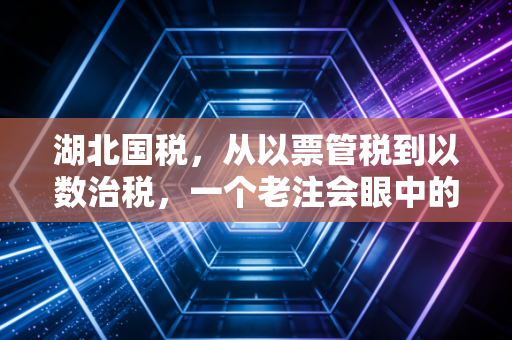 湖北国税，从以票管税到以数治税，一个老注会眼中的荆楚税务变迁