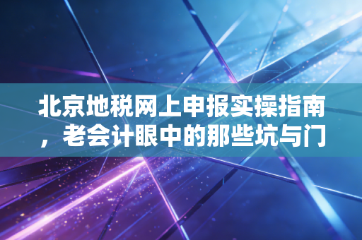 北京地税网上申报实操指南，老会计眼中的那些坑与门道