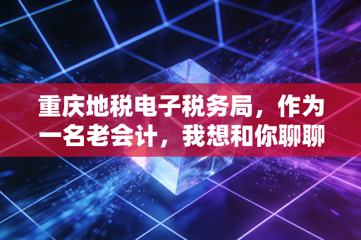 重庆地税电子税务局，作为一名老会计，我想和你聊聊那些年我们踩过的坑与数字化红利