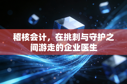 稽核会计,在挑刺与守护之间游走的企业医生