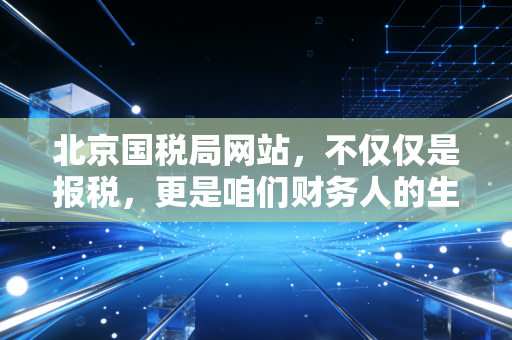 北京国税局网站,不仅仅是报税,更是咱们财务人的生存指南