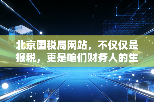 北京国税局网站，不仅仅是报税，更是咱们财务人的生存指南