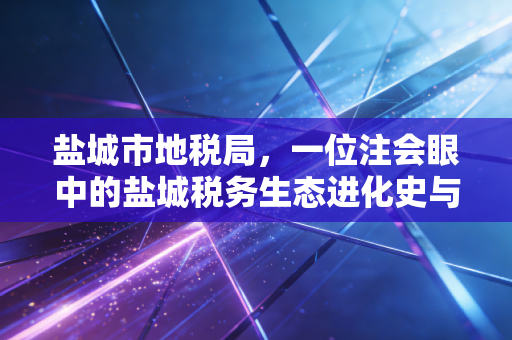 盐城市地税局,一位注会眼中的盐城税务生态进化史与服务温情