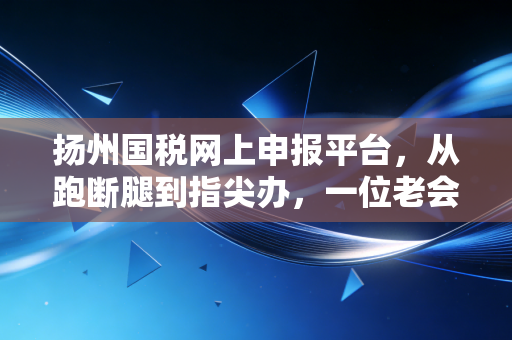 扬州国税网上申报平台,从跑断腿到指尖办,一位老会计眼中的税务数字化变迁