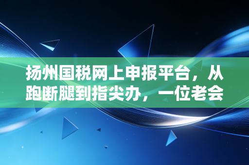 扬州国税网上申报平台,从跑断腿到指尖办,一位老会计眼中的税务数字化变迁