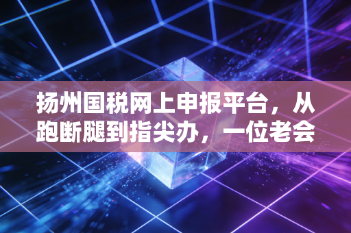 扬州国税网上申报平台，从跑断腿到指尖办，一位老会计眼中的税务数字化变迁