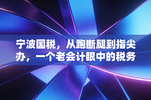 宁波国税，从跑断腿到指尖办，一个老会计眼中的税务变迁与未来思考