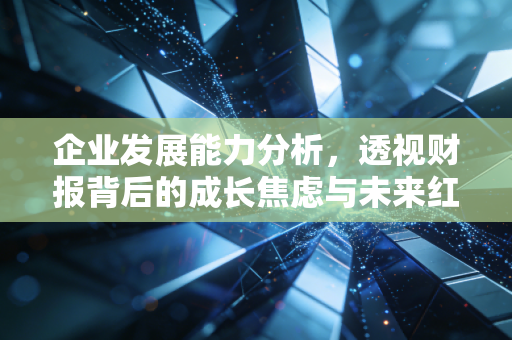 企业发展能力分析,透视财报背后的成长焦虑与未来红利