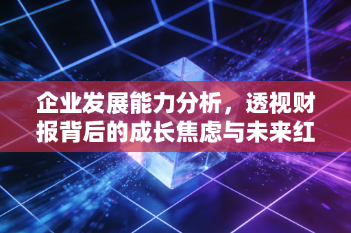 企业发展能力分析,透视财报背后的成长焦虑与未来红利