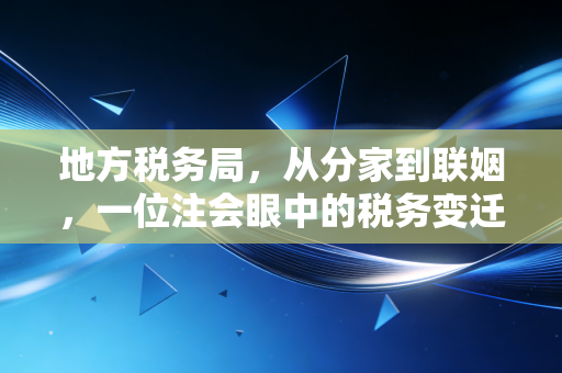 地方税务局,从分家到联姻,一位注会眼中的税务变迁与实务痛点