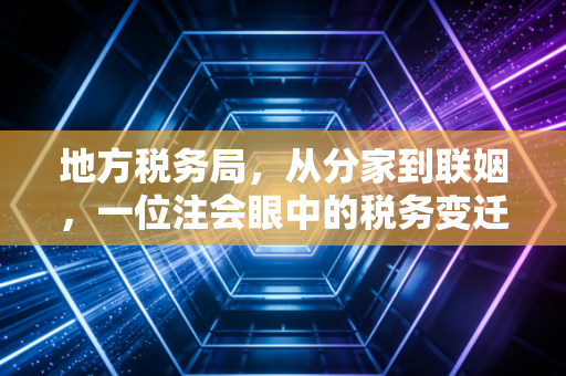 地方税务局,从分家到联姻,一位注会眼中的税务变迁与实务痛点